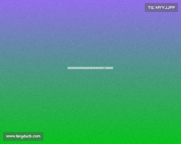 沈梦露告别凯尔特人：感恩岁月的见证，未来继续前行(沈梦露首秀)