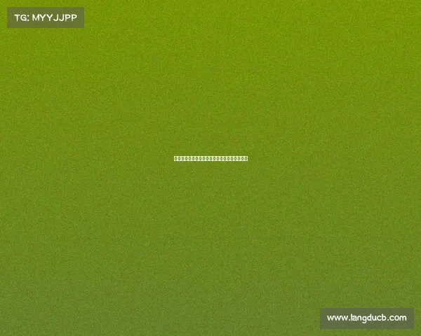 武汉三镇主场迎战大连人，连胜之路能否延续？