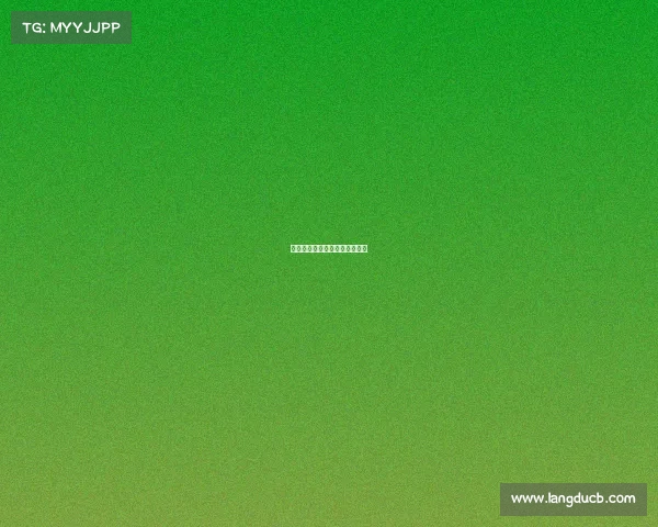 皇马继续保持不败,向冠军迈进