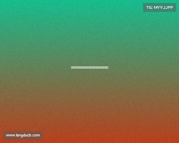 绿军续约怀特势在必得:成关键筹码,记者揭示续约条件 绿军续约怀特势在必得:成关键筹码,记者揭示续约条件